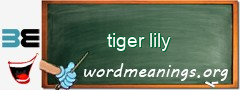 WordMeaning blackboard for tiger lily